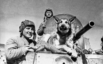 Онлайн- викторина "Легендарные собаки времен Великой Отечественной войны и их бессмертные подвиги"